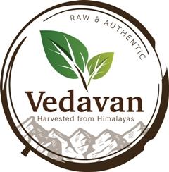 Vedavan logo