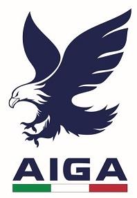 Image of Flying Eagle with words "AIGA" written in stylized manner with unique artistic work. logo
