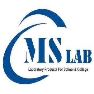 MS LAB logo