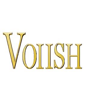 VOIISH logo
