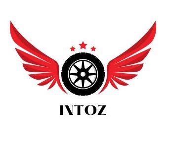 INTOZ logo