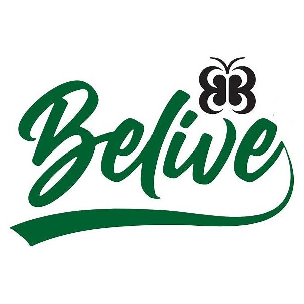Belive logo