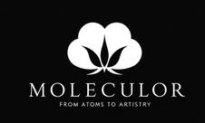 MOLECULOR logo