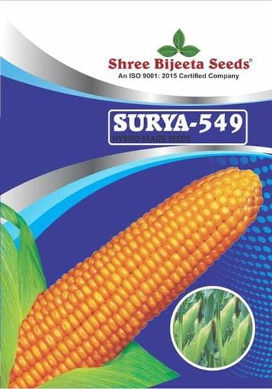 SHREE BIJEETA SEEDS SURYA - 549 logo