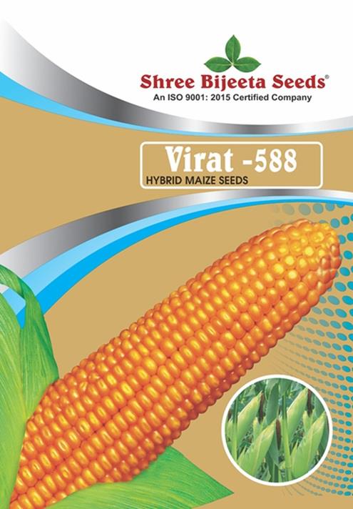 SHREE BIJEETA SEEDS VIRAT- 588 logo