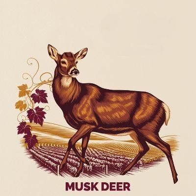 MUSK DEER logo
