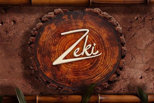Zeki logo