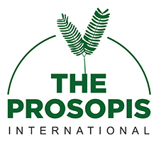 THE PROSOPIS INTERNATIONAL WITH LOGO logo