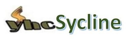 DEVICE CONTAINING WORD SyhcSycline IN ARTISTIC FASHION logo