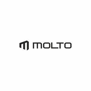 MOLTO logo