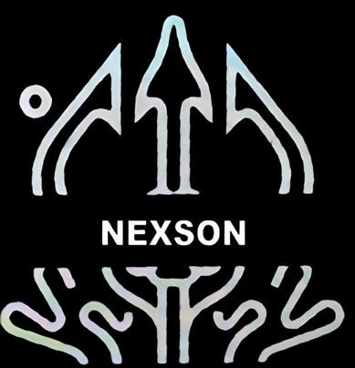 NEXSON logo