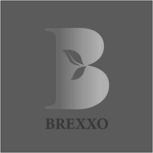 BREXXO (With Device Of B) logo
