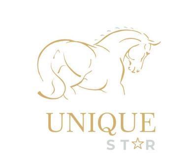 UNIQUE STAR logo