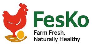 FesKo logo