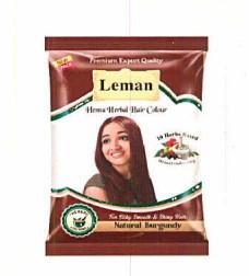 LEMAN logo