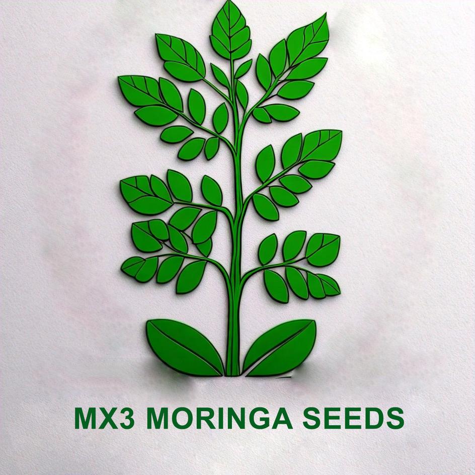 MX3 MORINGA SEEDS logo