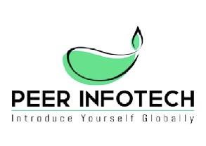 PEER INFOTECH WITH LOGO AND TAGLINE logo