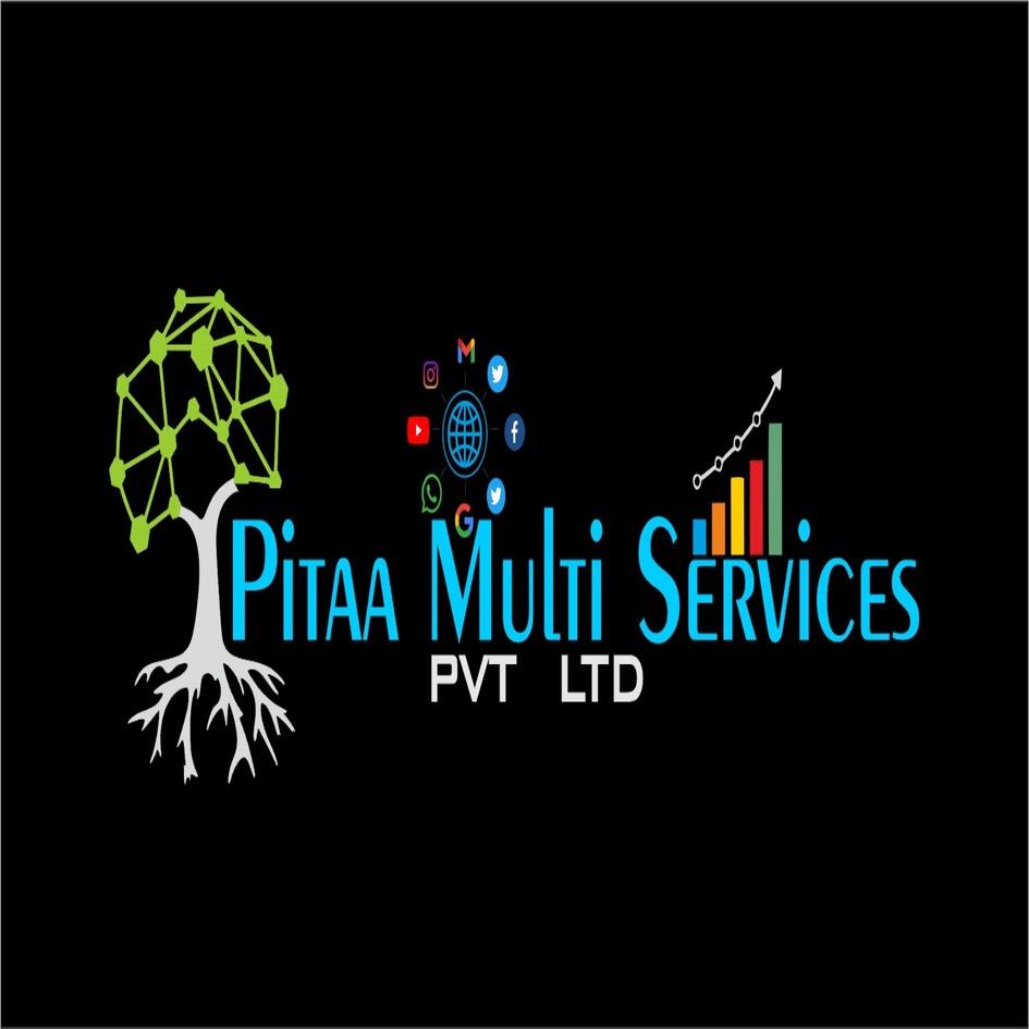 PITAA MULTI SERVICES PVT LTD (DEVICE) logo