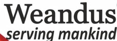 Device of "Weandus" logo