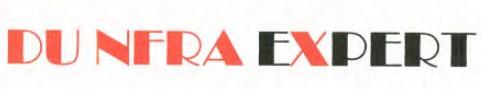 DUNFRA EXPERT logo