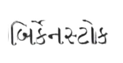 BIRKENSTOCK logo