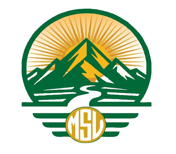 MSV logo