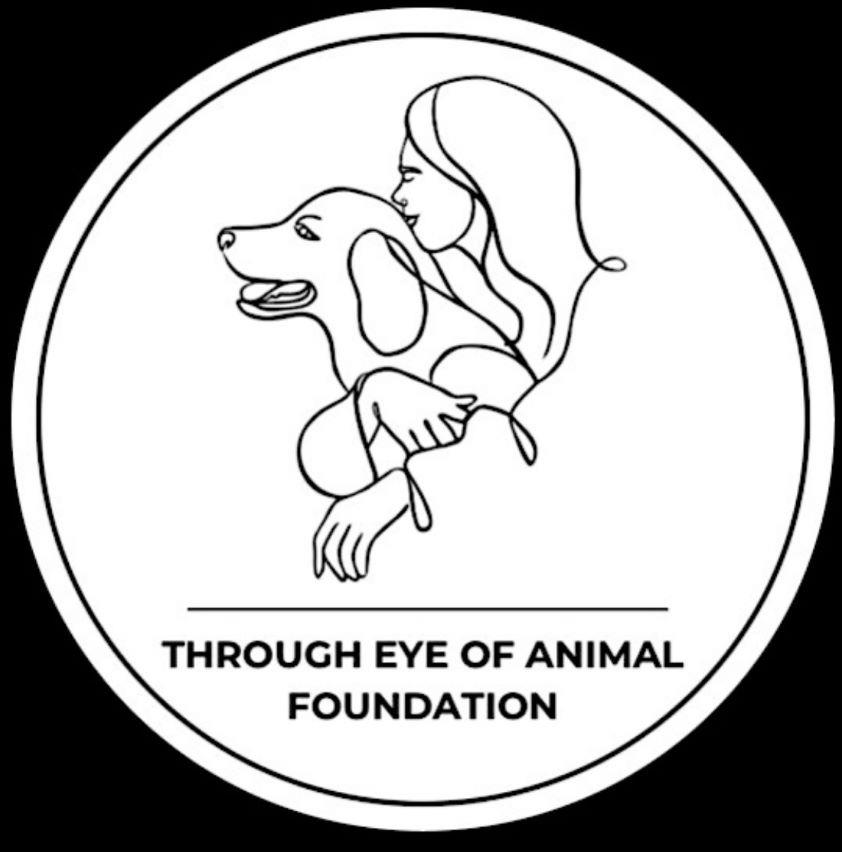 THROUGH EYE OF ANIMAL FOUNDATION logo