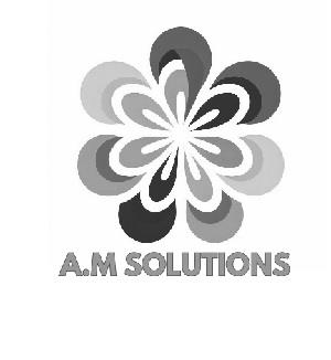 AM SOLUTIONS (With Device) logo