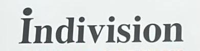 Indivision logo
