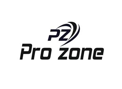 Pro Zone logo