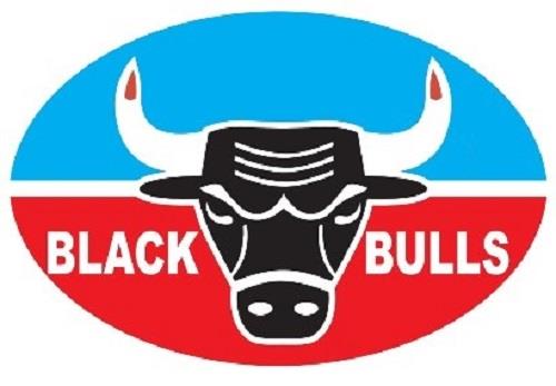 BLACK BULLS logo