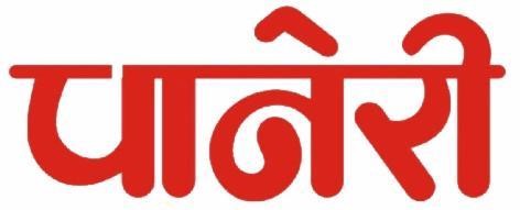 PAANERI (LABEL) logo