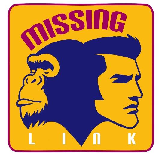 MISSING LINK logo