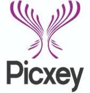 PICXEY logo