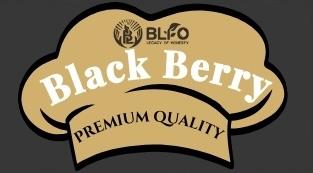 BLFO Black Berry logo