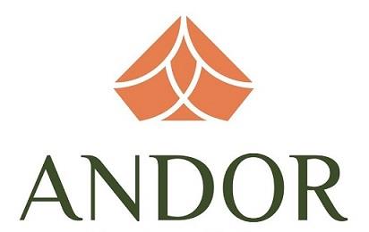 ANDOR logo