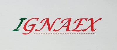 IGNAEX logo