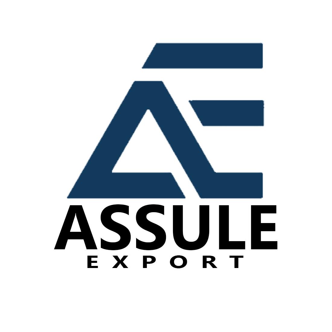 ASSULE EXPORT logo
