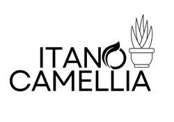 ITANO CAMELLIA logo
