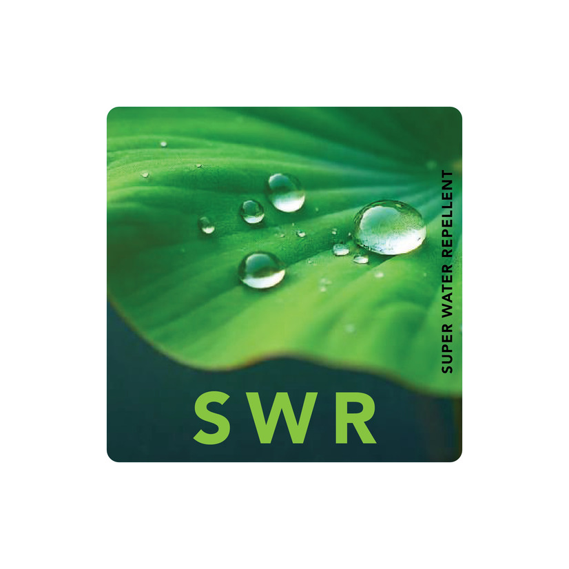 SWR logo