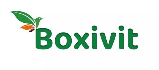 Boxivit logo