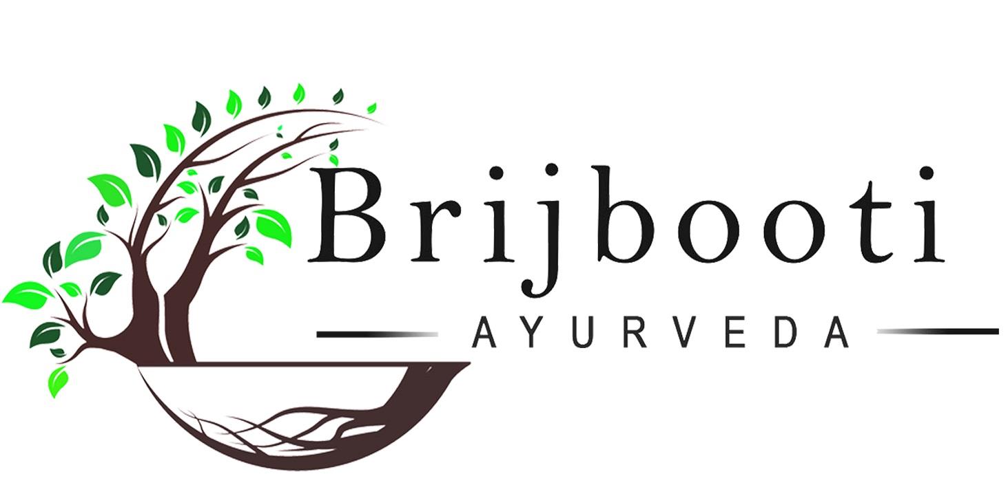 BRIJBOOTI logo