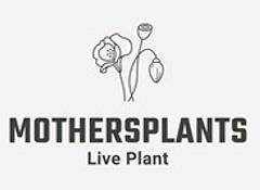 MOTHERSPLANTS LIVE PLANT logo
