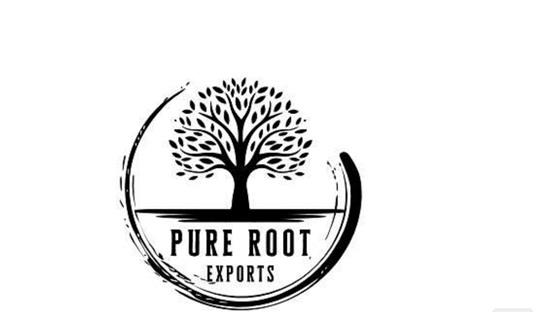 PURE ROOT EXPORTS logo