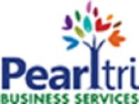 Pearltri Business Services ( Logo and device) logo