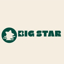BIG STAR logo