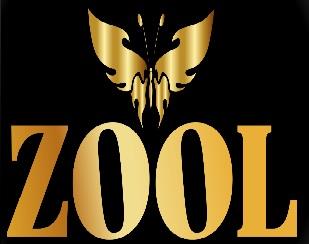 ZOOL logo