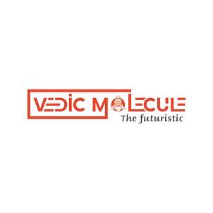 VEDIC MOLECULE THE FUTURISTIC logo