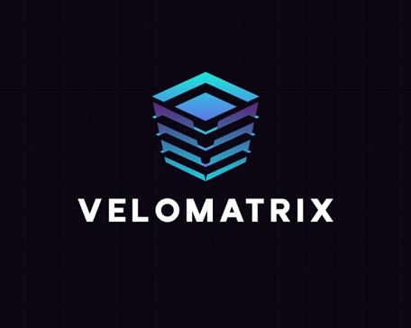 VELOMATRIX logo
