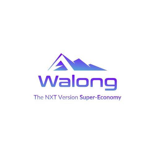 WALONG THE NXT VERSION SUPER-ECONOMY logo